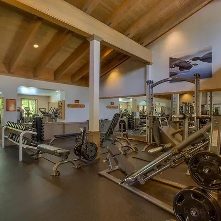 Basque Lodge- Ski Shuttle To Lifts- Pet Friendly- Hoa Amenities